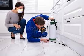 Emergency Pest Control Services in New Milford, IL